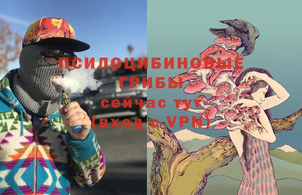 соль курить ск Пересвет