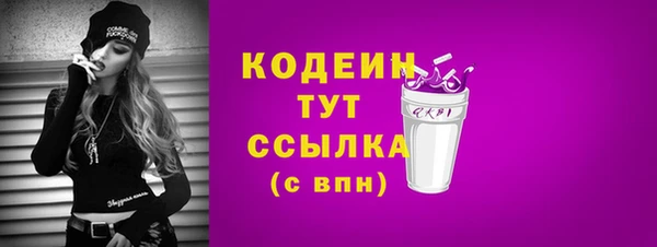 хмурый Пестово