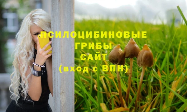 сатива Переславль-Залесский