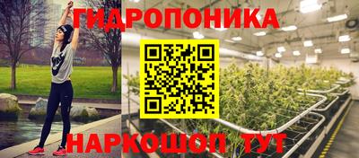 дмт Аргун