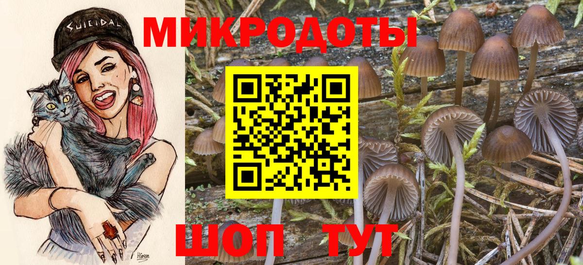 Псилоцибиновые грибы ЛСД  Вход с VPN  купить  цена  Анапа 