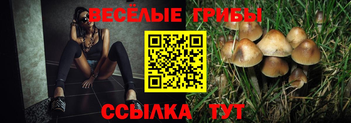 Псилоцибиновые грибы Psilocybine cubensis Анапа
